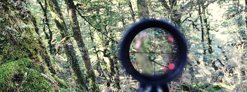 Top Rifle Scopes for Hunting